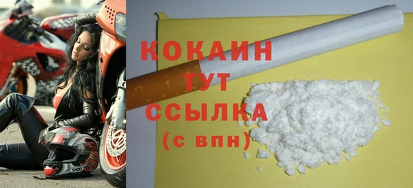 амф Ельня