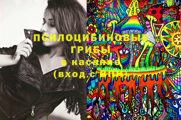 герыч Елабуга