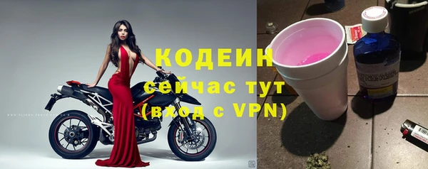 амф Ельня