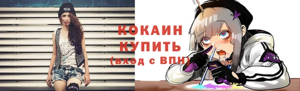 амф Ельня