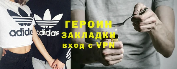 амф Ельня