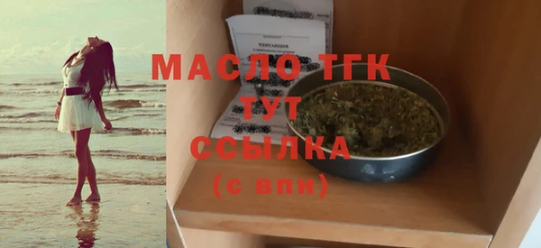 амф Ельня