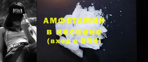 амф Ельня