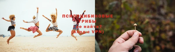 амф Ельня