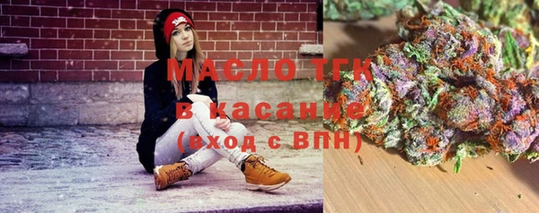 амф Ельня