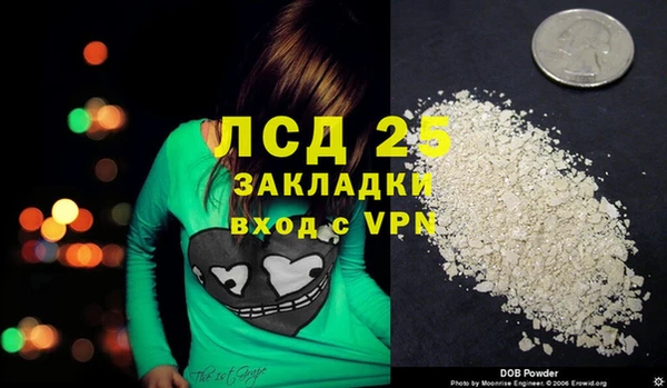 амф Ельня