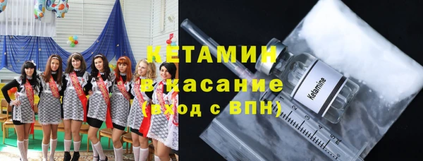 амф Ельня