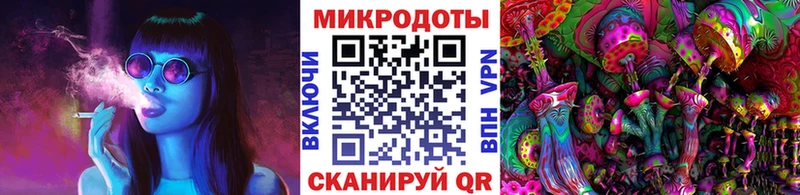 Купить закладки  Зея  Псилоцибиновые грибы прущие грибы 